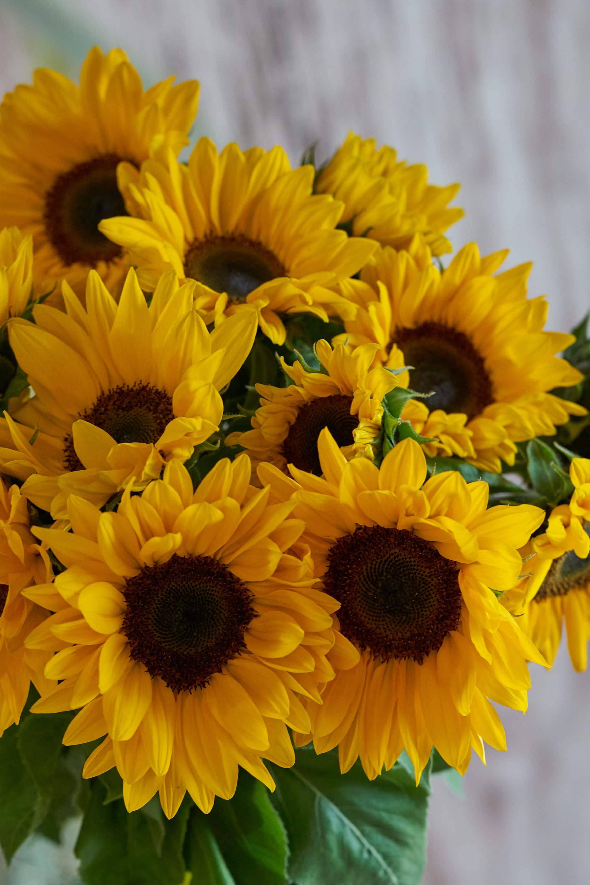 Hell-pastellfarbener Blumenstrauß